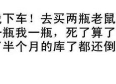 娱乐吃瓜经典语录搞笑版,笑料横飞！娱乐吃瓜语录搞笑大盘点