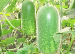 吃瓜网每日大赛聚集地,每日大赛聚集地，精彩赛事一网打尽！